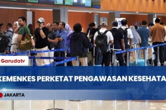 Kemenkes Perketat Pengawasan Cegah Hantavirus di Indonesia