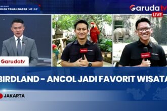 Jakarta Birdland - Ancol Jadi Favorit Wisata Edukasi Keluarga