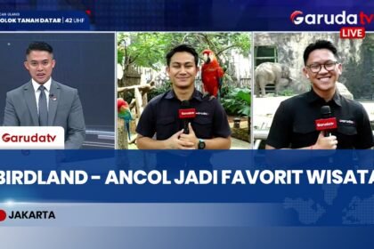 Jakarta Birdland - Ancol Jadi Favorit Wisata Edukasi Keluarga
