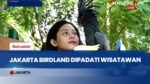 Wisata Edukasi Burung Favorit Saat Libur Panjang