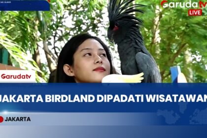 Wisata Edukasi Burung Favorit Saat Libur Panjang