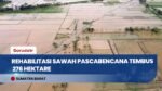 Rehabilitasi Sawah Pascabencana Agam Capai 276 Hektare