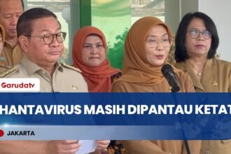 Kasus Hantavirus di Jakarta Masih Dipantau Ketat, Tiga Positif Enam Suspek Terdata
