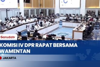 Stok Beras Nasional Tembus 5 Juta Ton! Komisi IV DPR & Wamentan Bahas Penyerapan Gabah 2026
