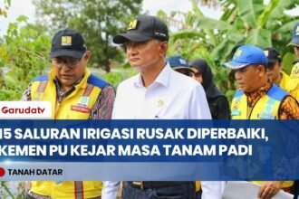 Kementerian PU Kebut Perbaikan Irigasi Sawah Rusak Akibat Banjir di Tanah Datar