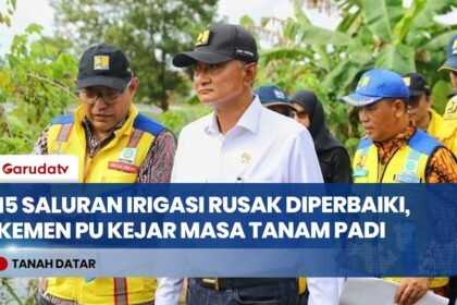 Kementerian PU Kebut Perbaikan Irigasi Sawah Rusak Akibat Banjir di Tanah Datar