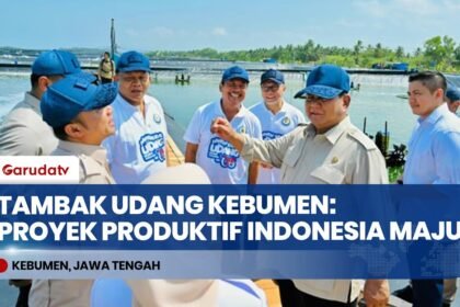 PRESIDEN PRABOWO PANEN RAYA UDANG! Targetkan Indonesia Jadi Lumbung Protein Dunia