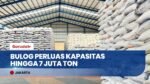STOK BERAS MELUAP! Bulog Bangun 100 Gudang Baru Demi Ketahanan Pangan