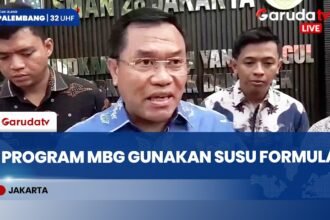BGN Pastikan Pembagian Susu Formula dalam Program MBG Sesuai Aturan
