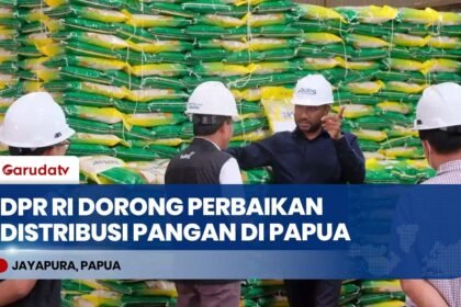 STOK AMAN! DPR RI Desak Perbaikan Jalur Logistik Pangan di Papua & Wilayah 3T