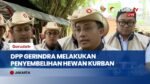 Total 36 Sapi & 15 Kambing! Intip Aksi DPP Gerindra Bagi-Bagi 6.000 Paket Kurban Tepat Sasaran!