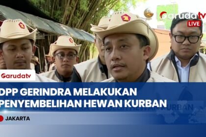 Total 36 Sapi & 15 Kambing! Intip Aksi DPP Gerindra Bagi-Bagi 6.000 Paket Kurban Tepat Sasaran!