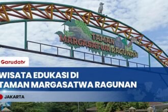 Naik dari 15 Ribu Pengunjung! Kebun Binatang Ragunan Padat Merayap Pas Long Weekend Iduladha!