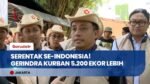 Teladani Presiden Prabowo! DPP Gerindra Siapkan 10.000 Paket Daging Kurban Buat Ojol Hingga PKL!