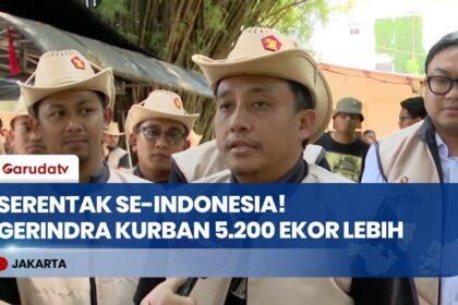 Teladani Presiden Prabowo! DPP Gerindra Siapkan 10.000 Paket Daging Kurban Buat Ojol Hingga PKL!