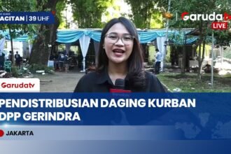 Sore Ini DPP Gerindra Bagikan 6.000 Paket Kurban, Sapi 1,2 Ton Mulai Didistribusikan!