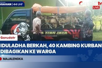 Tani Merdeka Salurkan 40 Kambing Kurban untuk Warga Majalengka