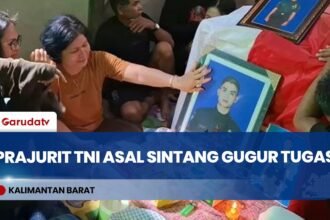 Prajurit TNI Asal Sintang Gugur Usai Kontak Tembak di Papua Pegunungan