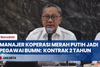 Manajer Koperasi Merah Putih Akan Dikontrak sebagai Pegawai BUMN Selama Dua Tahun