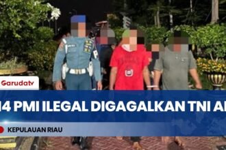 TNI AL Gagalkan Penyelundupan 14 PMI Non Prosedural ke Malaysia di Perairan Karimun