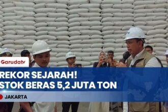 Pecah Rekor! Stok Beras Indonesia Tembus 5,2 Juta Ton, Tertinggi Sepanjang Sejarah Merdeka!
