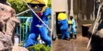 Nekat Terobos Kandang Monyet Viral Punch Demi Konten, Dua Turis AS Ditangkap Polisi Jepang