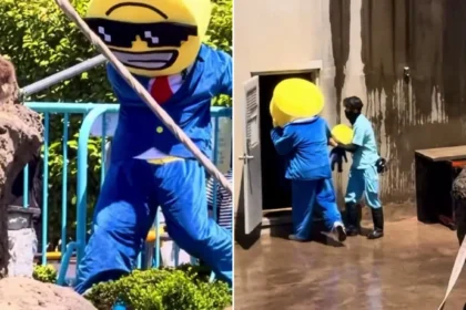 Nekat Terobos Kandang Monyet Viral Punch Demi Konten, Dua Turis AS Ditangkap Polisi Jepang