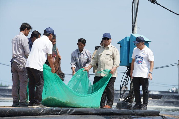 Presiden Prabowo Subianto ikut menarik jaring bersama para penambak saat menghadiri panen raya udang di kawasan BUBK Kebumen, Jawa Tengah, Sabtu 23 Mei 2026.