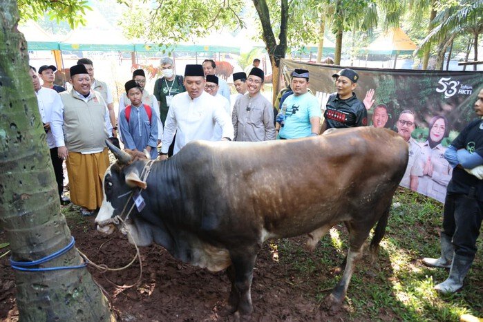 Stok Hewan Kurban 2026 Melimpah, Wamentan Sudaryono Ungkap Indonesia Surplus 800 Ribu Ekor 2 Stok Hewan Kurban 2026 Melimpah, Wamentan Sudaryono Ungkap Indonesia Surplus 800 Ribu Ekor