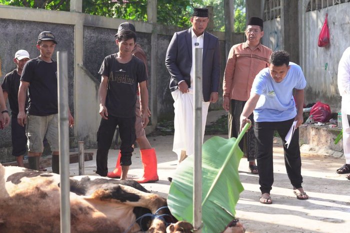 BULOG Maknai Iduladha 1447 H, Teguhkan Semangat Qurban untuk Ketahanan Pangan Umat 3 BULOG Maknai Iduladha 1447 H, Teguhkan Semangat Qurban untuk Ketahanan Pangan Umat