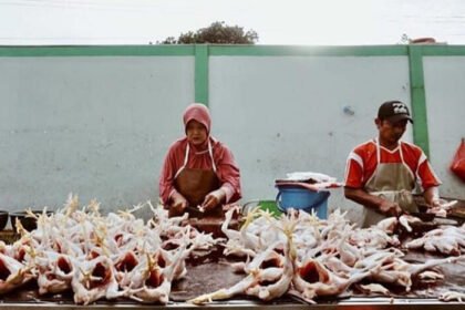 Inflasi April 2026 tercatat stabil di tengah kenaikan tarif transportasi, dengan penurunan harga cabai rawit dan daging ayam sebagai faktor utama penahan laju kenaikan harga.