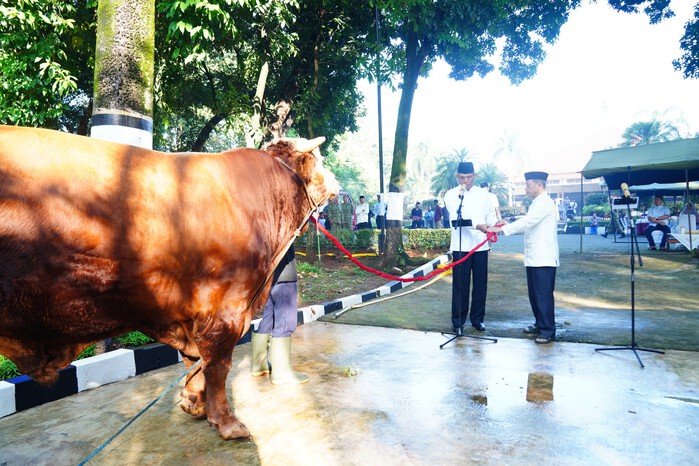 Mabes TNI menggelar Sholat Idul Adha 1447 H di Cilangkap yang diikuti prajurit, PNS TNI, dan masyarakat sebelum dilanjutkan penyembelihan 20 sapi kurban sebagai simbol kepedulian sosial dan penguatan ukhuwah Islamiyah.
