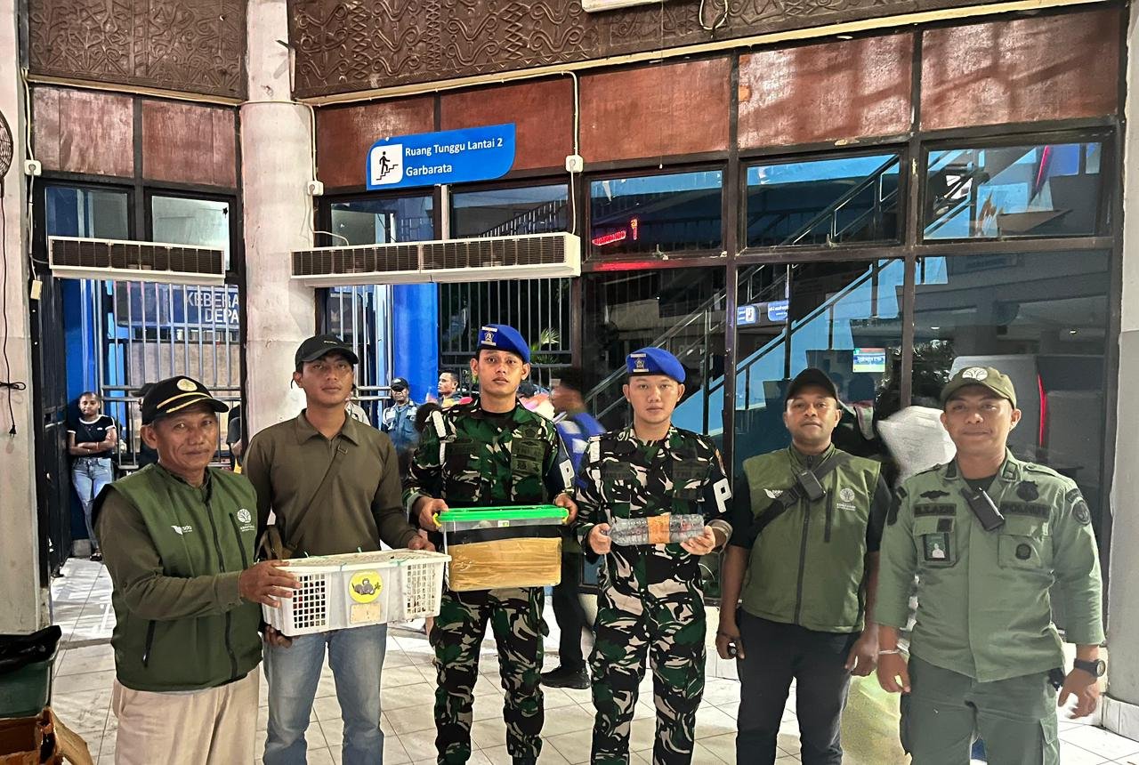 TNI AL Bongkar Jalur Penyelundupan, Ballpress hingga Satwa Langka Disita 3 TNI AL Bongkar Jalur Penyelundupan, Ballpress hingga Satwa Langka Disita
