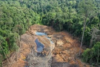 Hampir Tembus 1 Triliun, Segini Kerugian Negara Akibat 7 Tambang Ilegal yang Diusut ESDM