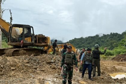 tambang emas ilegal