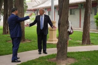 Momen Presiden China Tunjukkan Pohon yang Bikin Donald Trump Syok