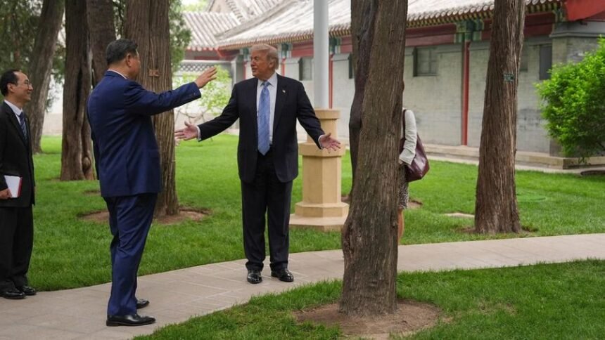 Momen Presiden China Tunjukkan Pohon yang Bikin Donald Trump Syok