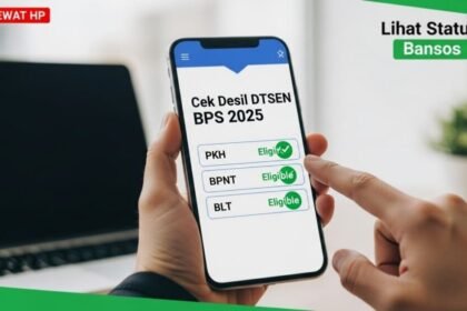 Cek-Desil-DTSEN-BPS-2025-Lewat-HP-Untuk-Lihat-Status-Bansos-PKH-BPNT-BLT-1024x559