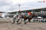 Indonesia’s Horse Racing (IHR)
