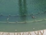 Bikin Jantungan! Dikira Warga Nekat Berenang di Kolam Bundaran HI, Ternyata Ini Fakta Sebenarnya