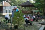 Peringati Hari Lingkungan Hidup Sedunia 2026, Pertamina Tanam Pohon dan Perkuat Inovasi Pengelolaan Sampah