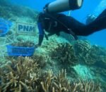Upaya PNM Hadirkan Masa Depan Anak-Anak Lewat Pelestarian Laut