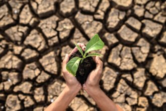 Hadapi Kemarau Ekstrem, Pemerintah Siapkan 57 Ribu Pompa Air Raksasa hingga Asuransi Gagal Panen bagi Petani