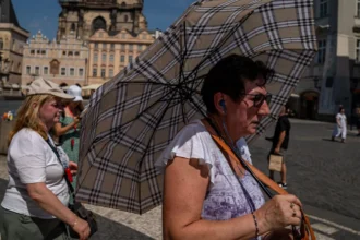 Jerman Tembus 41,5°C, Ilmuwan Sebut Gelombang Panas Sehebat Ini Mustahil Terjadi 50 Tahun Lalu
