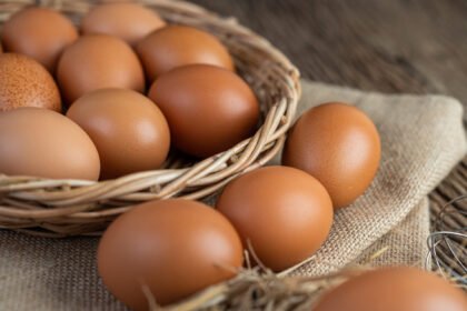 Bisa Tahan Sebulan di Kulkas, Ini Panduan Sempurna Menyimpan Telur agar Bebas Bakteri