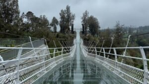 Bromo Skybreak Sukses Gelar Pre-Launching, Jembatan Kaca 83 Meter Siap Sambut Wisatawan