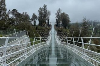 Bromo Skybreak Sukses Gelar Pre-Launching, Jembatan Kaca 83 Meter Siap Sambut Wisatawan