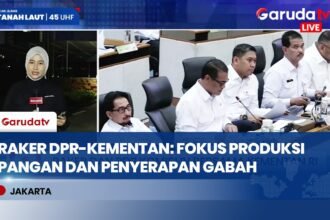 Raker Komisi IV DPR-Kementan Soroti Swasembada dan Kedaulatan Pangan Nasional