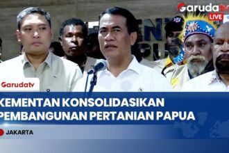 Papua Diproyeksikan Jadi Sentra Pangan Nasional, Kementan Siapkan Dukungan Penuh