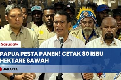 Cetak 80 Ribu Hektare Sawah Gratis, Kementan Dorong Papua Jadi Lumbung Pangan Baru